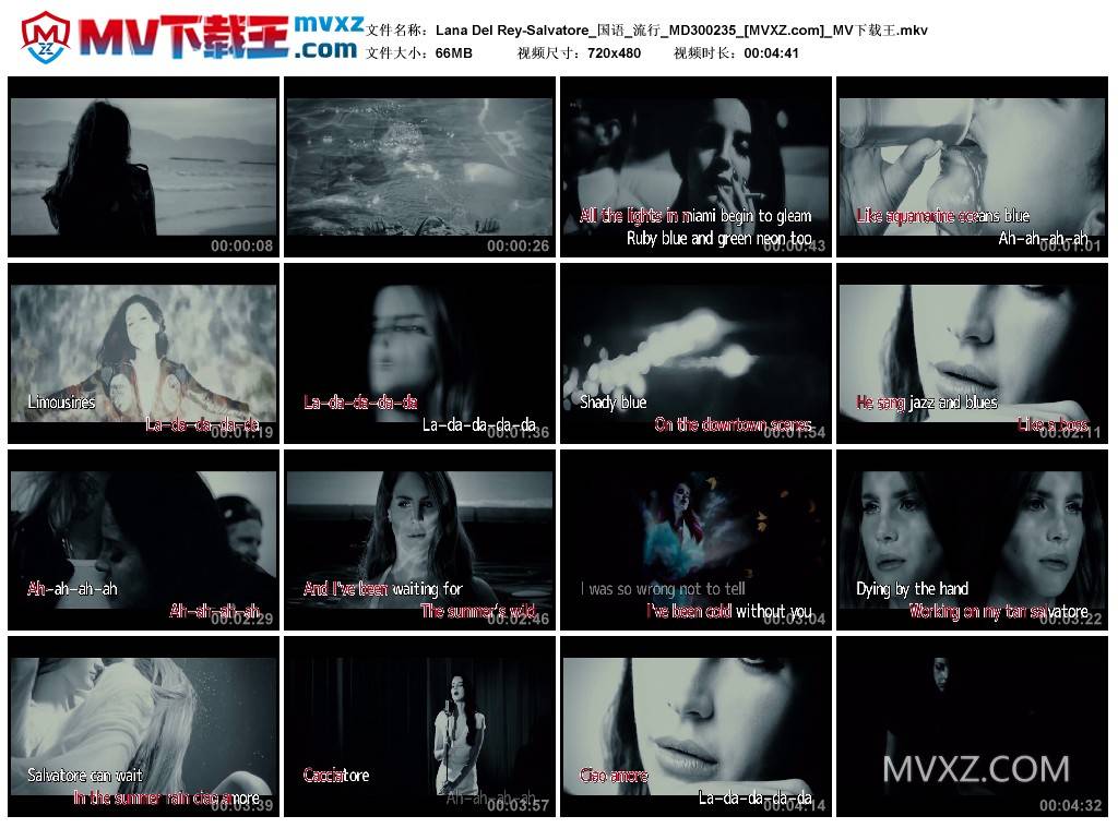 Lana Del Rey-Salvatore_国语_流行_MD300235